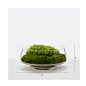 永生苔藓微景观禅意新中式日式售楼部洽谈桌花艺中式样板房-淘宝网