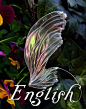 EBOOK PDF "Making Fairy Wings with Nenufar Blanco", €24.00: 