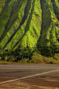 [绿色的山坡] 婆罗摩火山旁的绿色的山坡上,印度尼西亚东爪哇