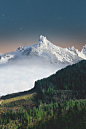 aerial photography of trees distance with white mountains
