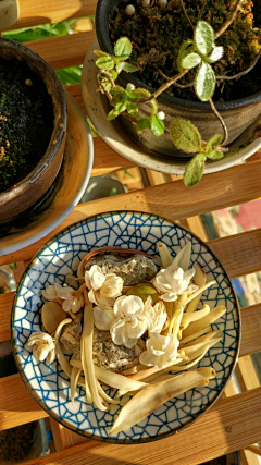 蓝枫212采集到B食物