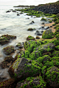 Low Tide at Salt Pond by Emily Miller Kauai