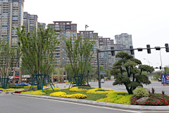 景观飞采集到市政道路景观