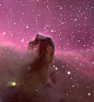 The Horsehead Nebula Credit & Copyright: Nigel Sharp (NOAO),...