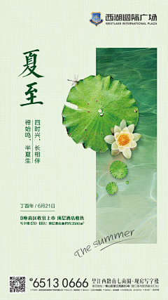 莯瑟采集到节气