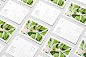 %name 香蕉叶手绘艺术明信片&企业名片设计模板 Blushing Leaves Art & Stationary Kit