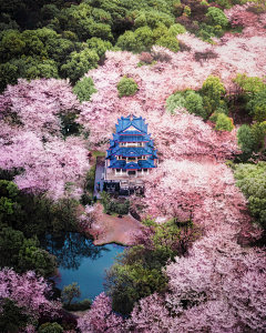 雷神是个锤采集到风景