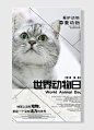 世界动物日爱护动物尊重动物白色主题猫咪背景