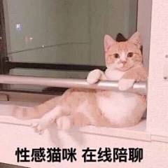 一起睡觉吗？ 
#土味表情包#  
#沙雕表情包# ​​​​