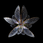 Seb Janiak | 昆虫翅膀，像鲜花一样绽放 - 观念摄影 - CNU视觉联盟