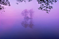 Photograph Silence foggy by Yasuhito  Shinagawa on 500px