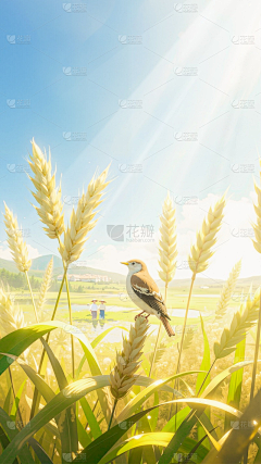 我是树懒我叫闪电采集到禾润