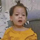 达芬鱼OuO