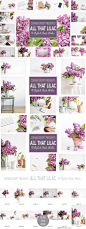 丁香图片素材场景包 Lilac Styled Stock Photo Bundle