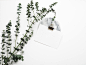 A Eucalyptus plant, a blank sheet of paper with a brass clip on it, and a marble slab against a white background