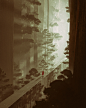 5 PIECE PORTFOLIO :: Behance