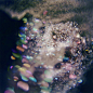 微光 | 川内伦子(Rinko Kawauchi) ​​​​