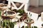 green leaf plant nature blur glass jar display 