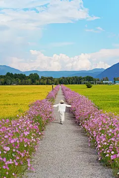 浪漫极了❗️我在大理拍到了我的人生花路