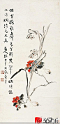 花鸟精品集