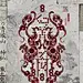 白虎-星演 - 小红书