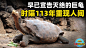 时隔113年，灭绝的巨型乌龟重现人间！人类该高兴还是担忧？