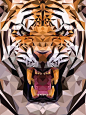 Geometric Tiger Made From Triangles - This is how 3-D animations are made in computer, though the triangles are much smaller, and there are lots lots more of them.: 