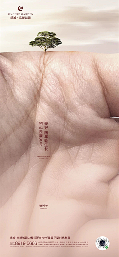 贾树康采集到绿城高新诚园24节气