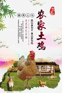 农产品散养土鸡海报  - 源文件下载【酷图网】中国风海报,食物海报,产品宣传海报,农产品广告,散养土鸡海报,