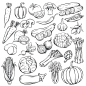 Hand drawn vegetables icons set