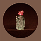 我的相册-[摄] 张宗宪先生藏鼻烟壶特展