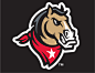 Billings Mustangs Cap Logo - Pioneer League (PL)
