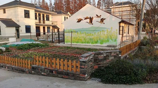【美丽庭院示范区】诗和远方的完美结合_建...
