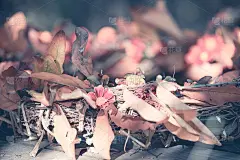 秋季手工制作的感恩节花环