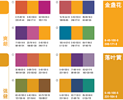 紫攞翩颜采集到色彩