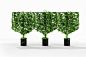 helen kontouris botanical planter screens designboom