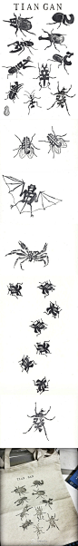 PRO HUANG 昆虫字体设计作品欣赏