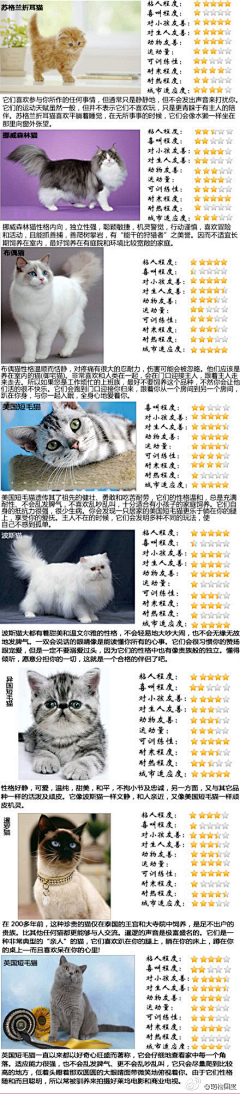 小米囡520采集到猫咪猫咪