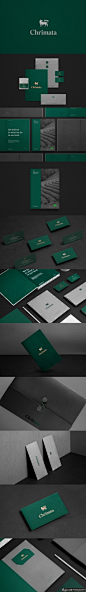 墨绿色品牌设计 创意LOGO设计 画册宣传册 手册 创意名片卡片设计 海报设计 传单 单页