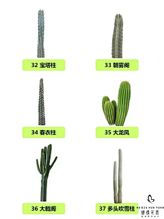 害怕ing采集到商业插画