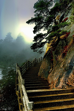 雨中努力奔跑采集到美景