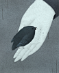 Naftali Beder.
Illustrations by Naftali Beder from Astoria, New York:
