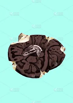 另一个冰淇淋。现代设计。当代艺术拼贴。