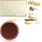 Atlas_God_Sucess_tp0
