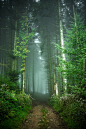 Photograph Bois de Montarroux - Col du Pilon by Patrice MESTARI on 500px