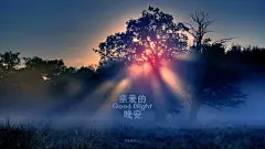 文字控_美丽文字_关于爱情_网络热词_爱壁纸原创_心情故事_2014年7月壁纸精选_2014年31周壁纸精选_馨倾_桌面壁纸_爱壁纸HD