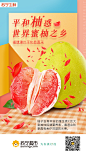 柚子banner 柚子海报 柚子专题
