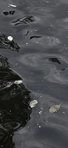 夏日清爽壁纸
