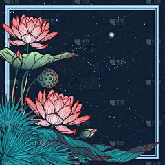 莲花背景。花卉装饰的方形框架。睡莲棕榈树和香蕉叶 arrenged 在角上深蓝色当晚天空背景与明星孤