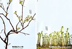 让 MUJI 海报更有手作感的艺术总监，不是原研哉而是他！